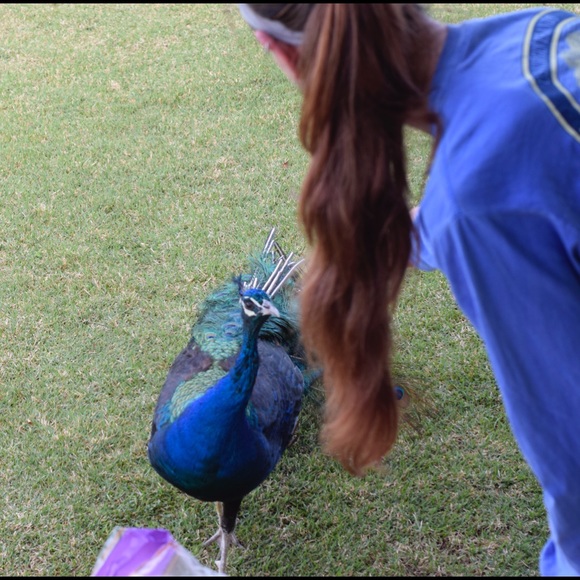 H-E-L-L-O! - Picture 2 of 2